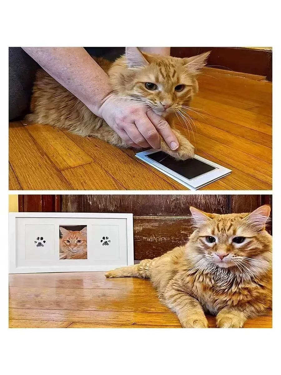 Paw Print Ink Pad