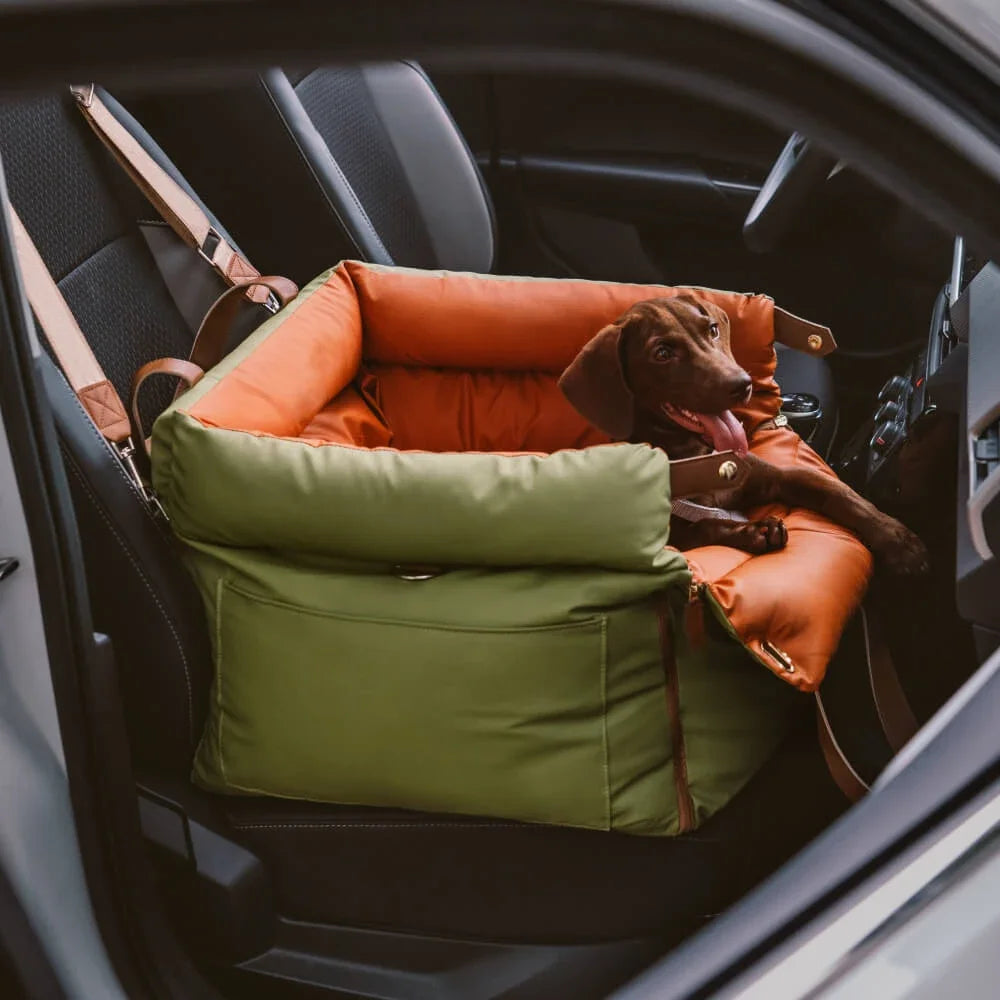 Portable Pet Carrier & Car Seat