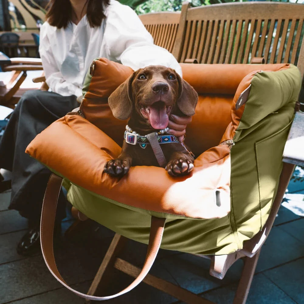 Portable Pet Carrier & Car Seat