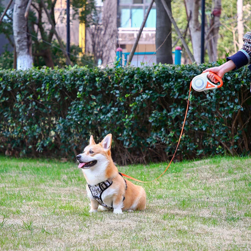 Retractable Dog Leash