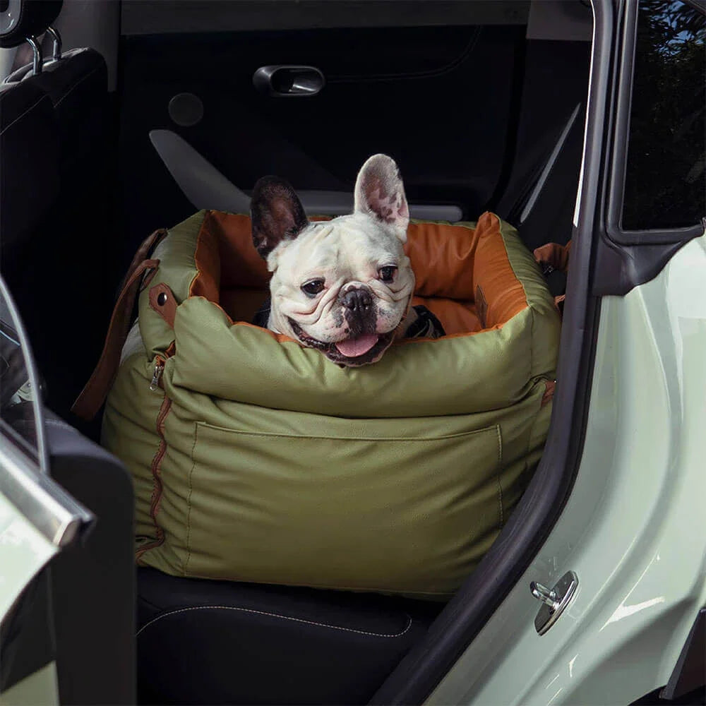 Dog in a portable carrier