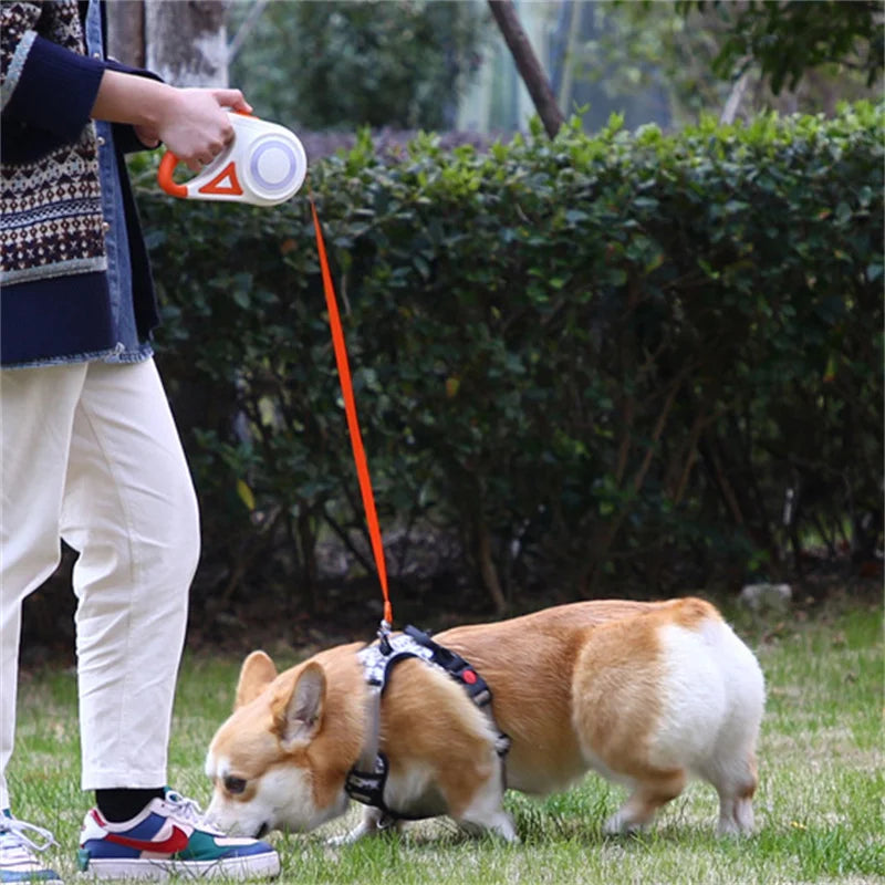 Retractable Dog Leash