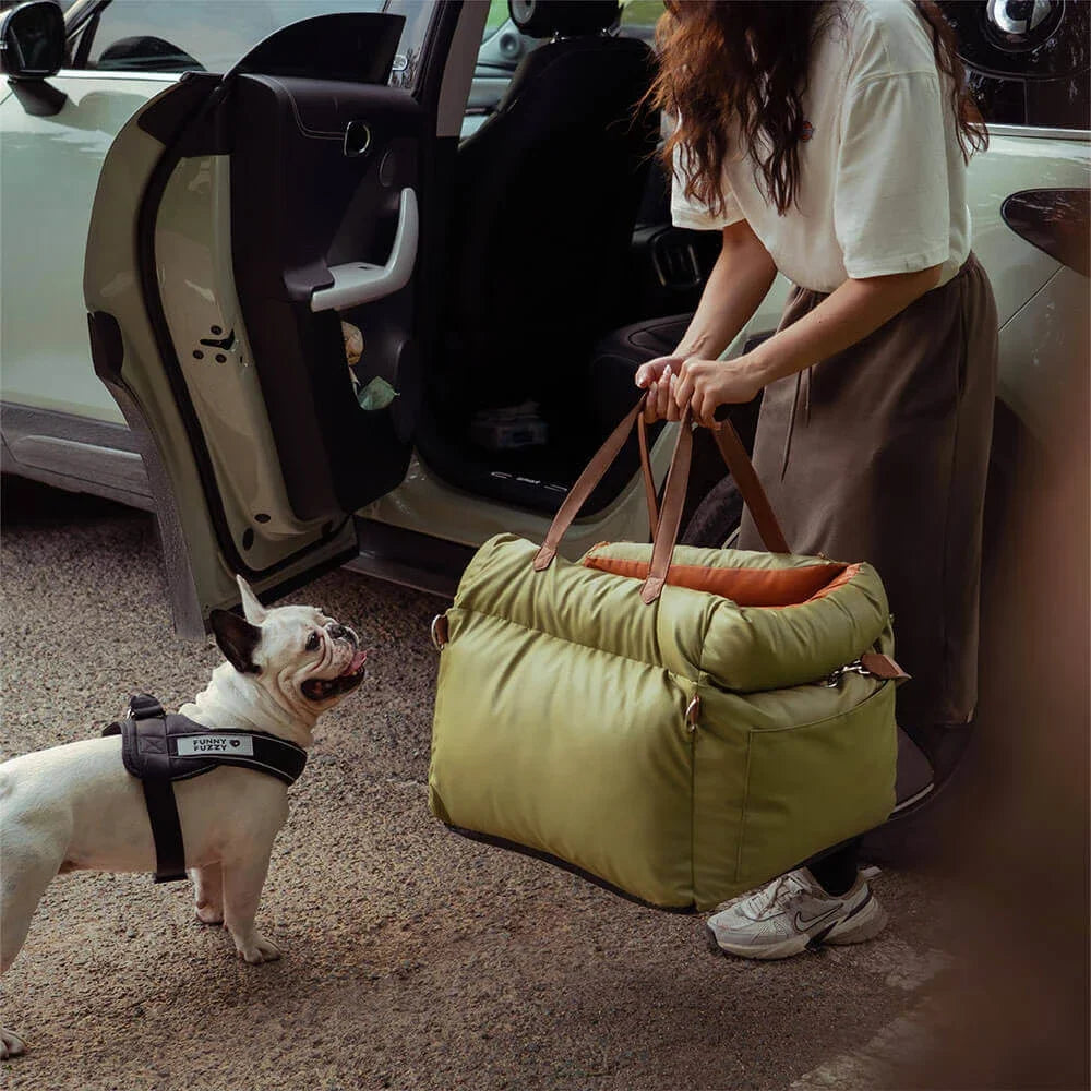 Portable Pet Carrier & Car Seat